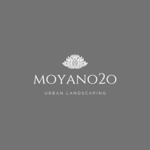 Logo Moyano 20